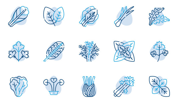 Green Vegetables, Parsley, Dill, Green Onion, Spinach, Lettuce, Arugula, Basil and Celery Line Icons Set Editable Stroke Vector Illustration