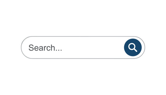 Minimalist search bar design features a clean white input field next to a circular dark blue search icon.