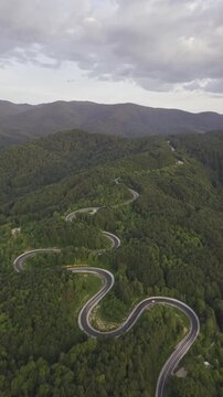 Aerial view of winding asphalt mountain road among green trees in summer. (Domani&ccedil;,İneg&ouml;l dağ yolu)