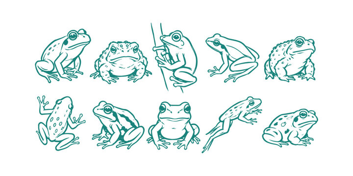frog and toad doodle icon set with funny amphibians sitting climbing and jumping characters vector illustration