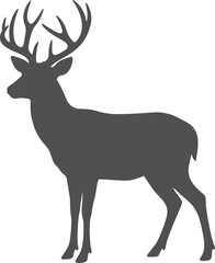 Obraz premium Forest stag deer with detailed antlers standing silhouette on a transparent background