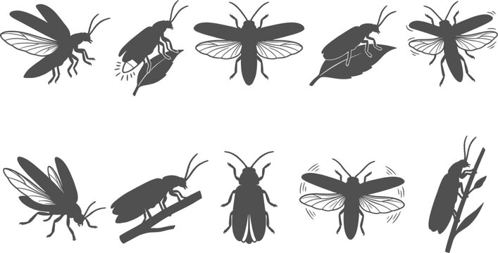Firefly and lightning bug silhouettes flying and crawling on leaves on transparent background