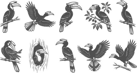 Hornbill bird silhouette collection showing tropical birds perched flying and nesting in trees © Nabil