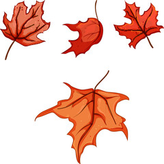 Naklejka premium Group of vibrant maple leaves displaying rich red and orange autumn colors, symbolizing seasonal change, natural beauty, and the spirit of fall in a graphic element