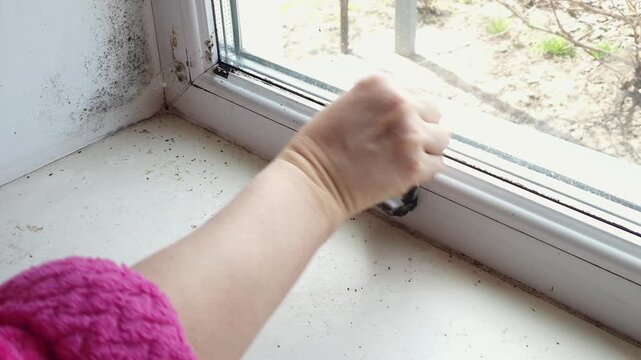 A person's hand wipes away black mold and grime from a white window sill and frame, showing a cleaning process
