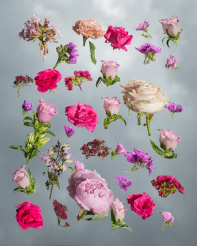 skybound blooms: pink flowers on mirror in abstract background