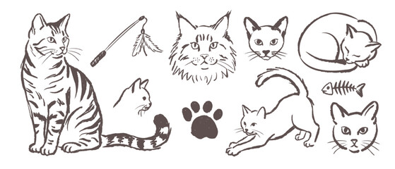 Naklejka premium Set of Hand Drawn Cats Collection Isolated Sketches Featuring Cute Feline Poses Paw Print Fish Skeleton and Toy Elements for Creative Design Projects