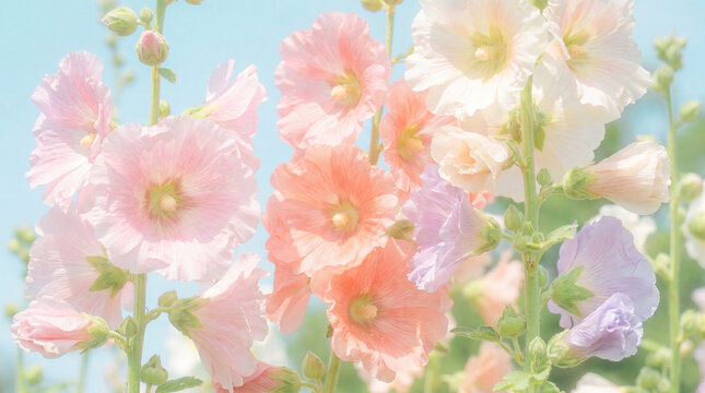 Dreamy Blurred Pastel Flowers in Sunlight
