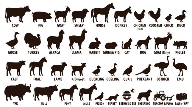 Farm Animals Silhouettes Collection: Cow, Pig, Horse, Chicken, Dog, Cat, Sheep, Goat