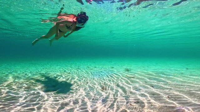 Woman snorkeling underwater discovering a starfish in a Caribbean sea
