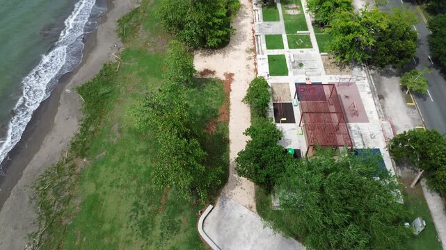 Overhead drone view moving forward above a tropical park pathway and adjacent shoreline.