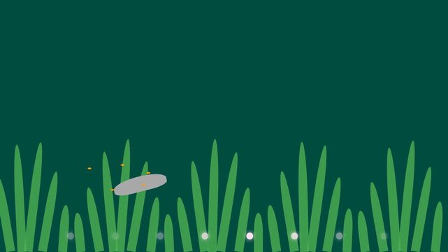 Animated Firefly Glowing and Flying Over Green Grass Field at Night.