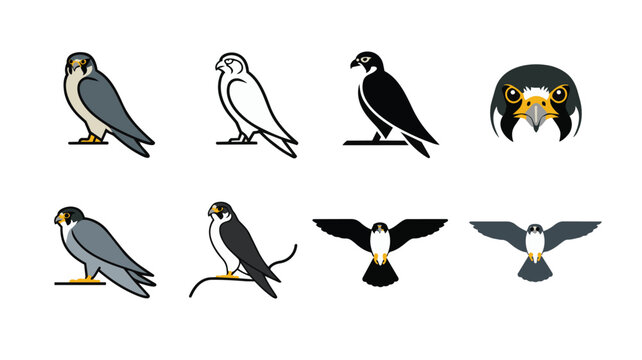 falcon bird icons and logos in various styles Vector