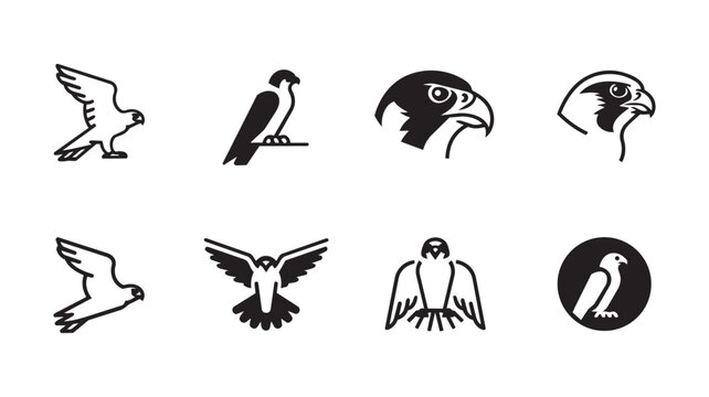 black falcon hawk bird icons and silhouettes Vector