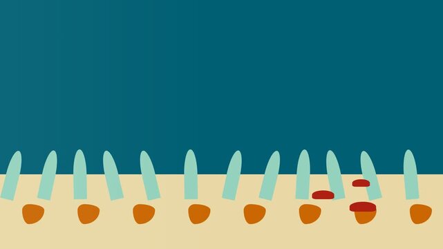 Animated Biological Cell Membrane Transport Mechanism Illustration.