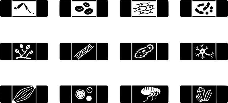 Microscope Slide Specimens silhouette icon set, flat black glyph style, pure white background