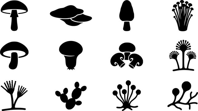 Fungi & Mold silhouette icon set, flat black glyph style, pure white background, 8-12 different Fungi & Mold designs arranged in a clean grid