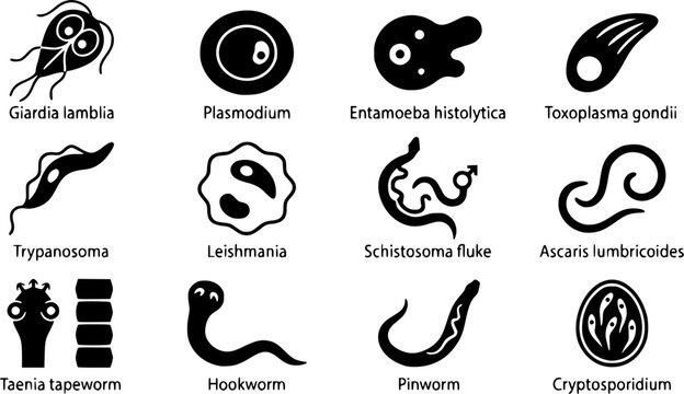 Parasite Silhouette Icons &ndash; Protozoa & Microbiology Vector Bundle