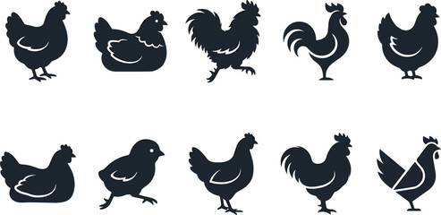 Set of Poultry Chicken Silhouettes Featuring Roosters Hens and Chicks in Various Poses for Poultry Farm Logos Agriculture Branding and Organic Food Graphic Designs © MstMonjila