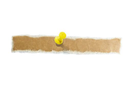 Torn piece of paper pinned with a push pin isolated on a transparent background.