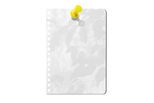 Torn notebook paper attached with a push pin isolated on a transparent background.