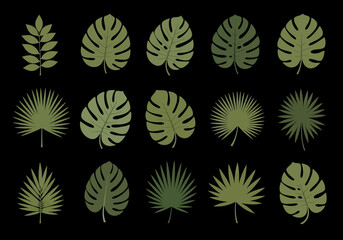 Tropical Palm and Monstera Leaf Silhouettes Set on Black Background © Jugel