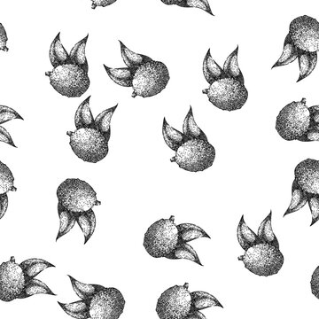 seamless pattern food lychees hand drawn. lichee pink, fresh nature, red healthy food lychees black sketch illustration