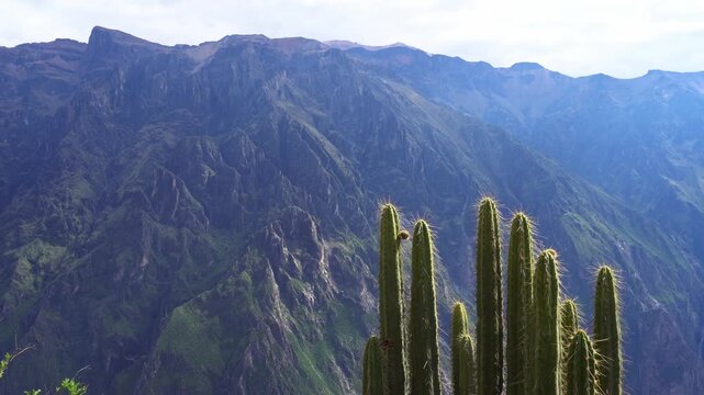 Spectacular landscapes inside Colca Canyon near Arequipa, Peru