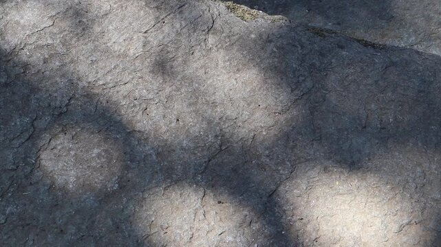 Round patches of sunlight flicker across stones of a garden path as light filters through tree canopies. Peaceful nature footage filmed on a tripod.