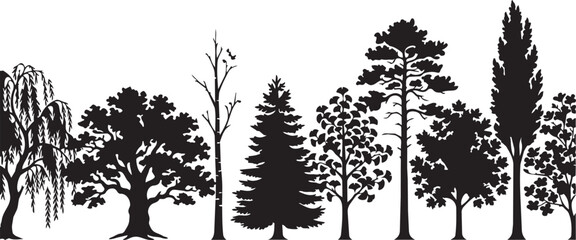 Diverse deciduous and coniferous trees silhouetted against a bright white background seamless pattern © SDR
