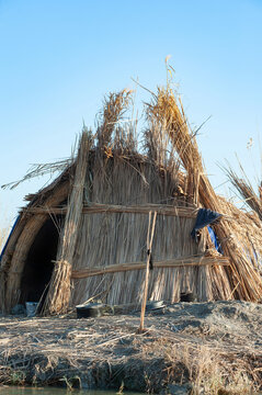 Traditional floating reed house in the Hamar Marsh of the Southern wetlands of Iraq, home of the Marsh Arabs, Mesopotamia.