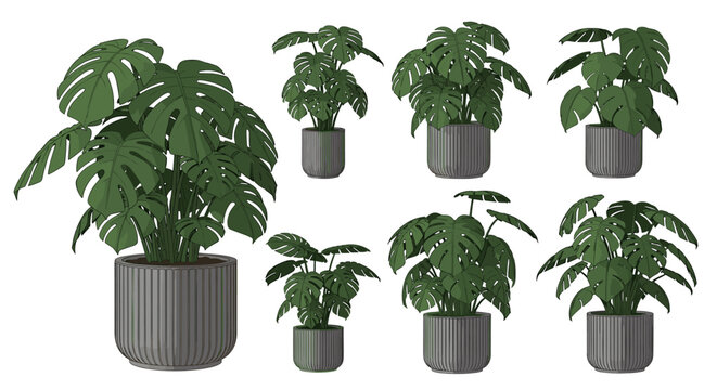 Monstera Top View CAD Vector, Large Leaf Biophilic Plant, Plan View Interior Design Block, 2D Flat Vector Monstera Set