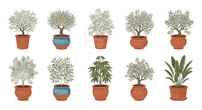 Olive Tree Top View CAD, Mediterranean Plant Vector, Plan View Cinnamon Tree, 2D Biophilic Interior Vector, Earthy Design CAD Block