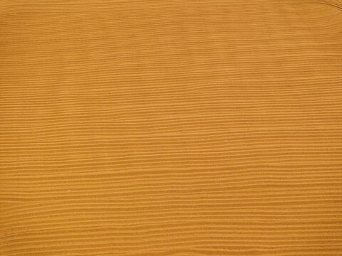 The ripe grains in the threshing floor