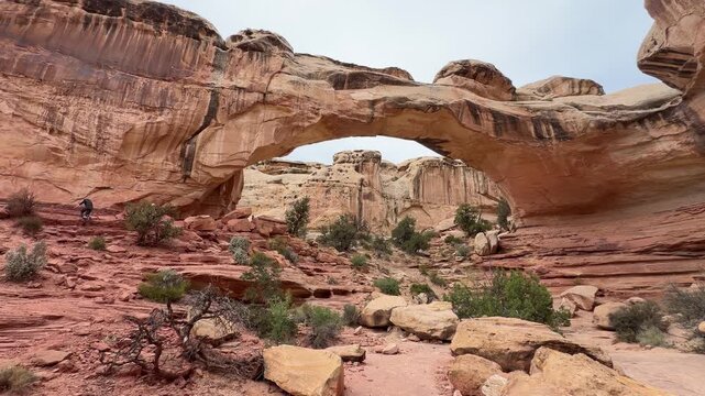 Hickman Bridge Trail in Capitol Reef, Utah