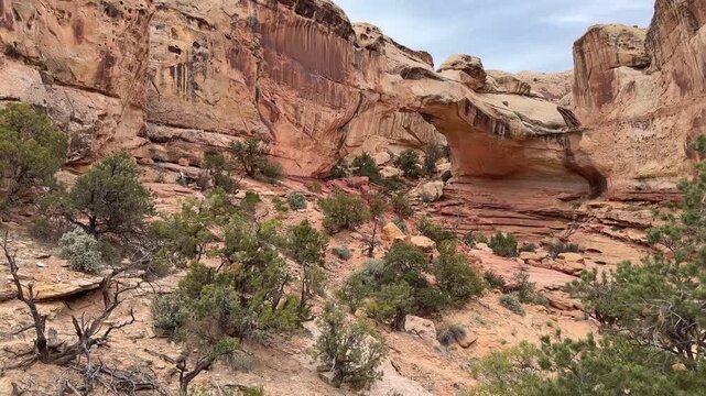 Hickman Bridge Trail in Capitol Reef, Utah