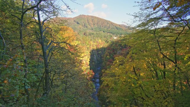 紅葉の名所 秋の鳴子峡の風景　Autumn scenery of Naruko Gorge, a famous spot for autumn foliage.