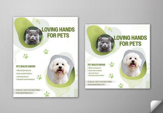 Editable Pet Health Checks Social Media Post Template Set with Cute Cat and Dog Image for Veterinary Care and Dental Examination.