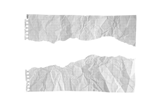 Set of crumpled torn white graph paper strips isolated on white background. Ripped grid notebook pieces with realistic shadows for banner layouts, headers, collages and scrapbooking
