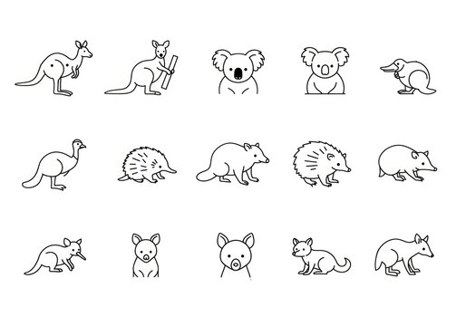 Charming collection of hand drawn Australian animals including kangaroos koalas echidnas platypus and wombats perfect for kids educational materials and fun designs