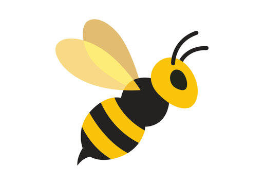 Abeja volando de perfil con alas transl&uacute;cidas
