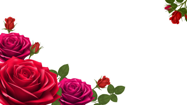 Elegant romantic floral background featuring realistic red and dark pink roses with green leaves and buds arranged beautifully luxury cosmetic templates