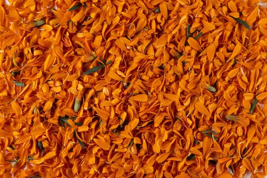 orange marigold flower petals texture background festive floral pattern natural botanical surface