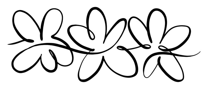 Three flowers arranged in a row. single continuous line art, ink doodle, hand drawn ink vector.