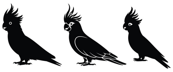 Cockatoo silhouettes black shapes on a white background © MDHASAN