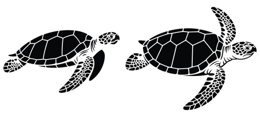 Sea Turtle Silhouettes On White Background Marine Wildlife Illustration © MDHASAN