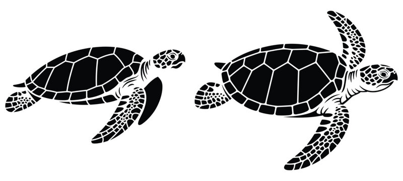 Sea Turtle Silhouettes On White Background Marine Wildlife Illustration