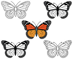Butterflies in various styles including line art and color variations © MDHASAN