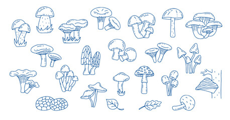 Naklejka premium Set of different mushrooms in doodle style isolated on white. Autumn, nature and fall concept. 