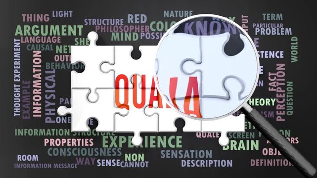 Qualia under magnifying glass, being researched, studied and examined. Most important subjects and ideas closely related to qualia presented as a word cloud. Complexity of qualia. Can be looped.